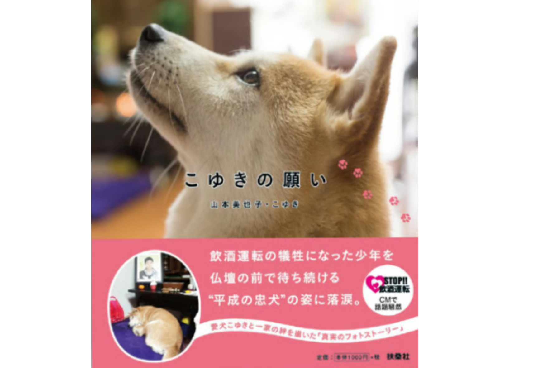 写真集こゆきの願い